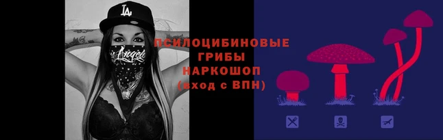 трава Нефтекумск